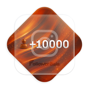 10000 فالوور میکس ایرانی برنزی اینستاگرام